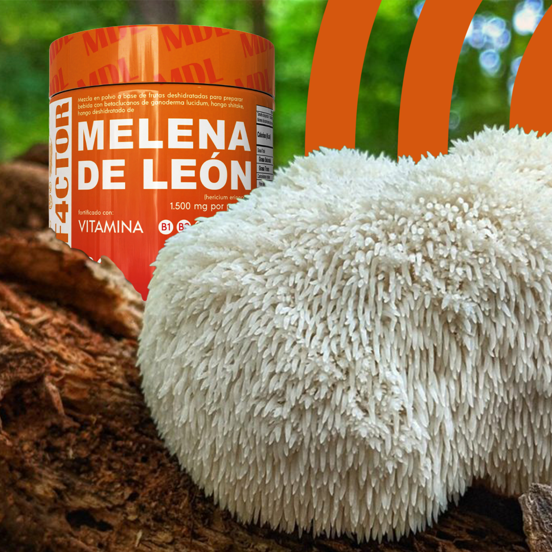 MELENA DE LEÓN 💪 ⭐⭐⭐⭐⭐