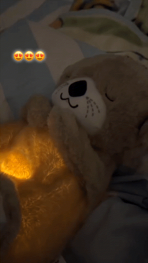 🧸Peluche Coadyudante Emocional⭐⭐⭐⭐⭐